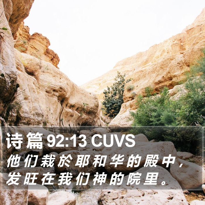 诗 篇 92:13 CUVS Bible Study