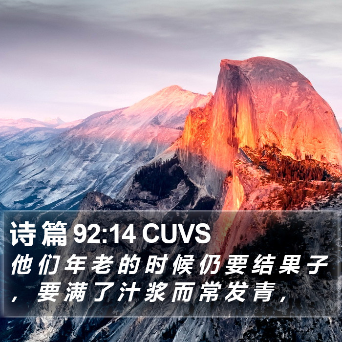 诗 篇 92:14 CUVS Bible Study