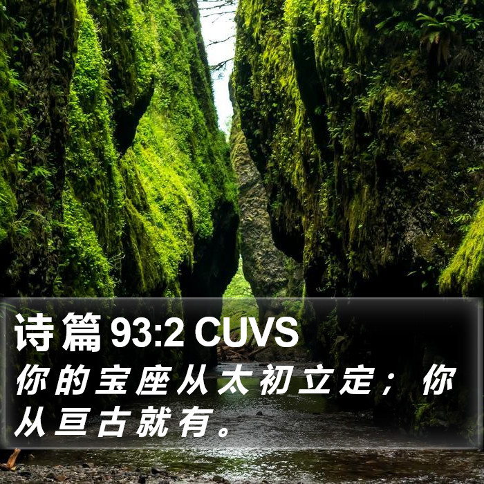 诗 篇 93:2 CUVS Bible Study