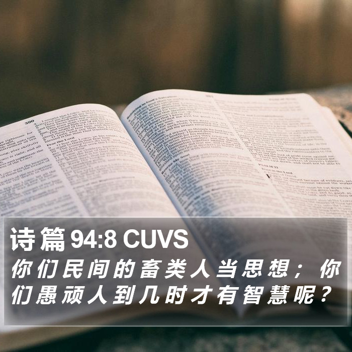 诗 篇 94:8 CUVS Bible Study