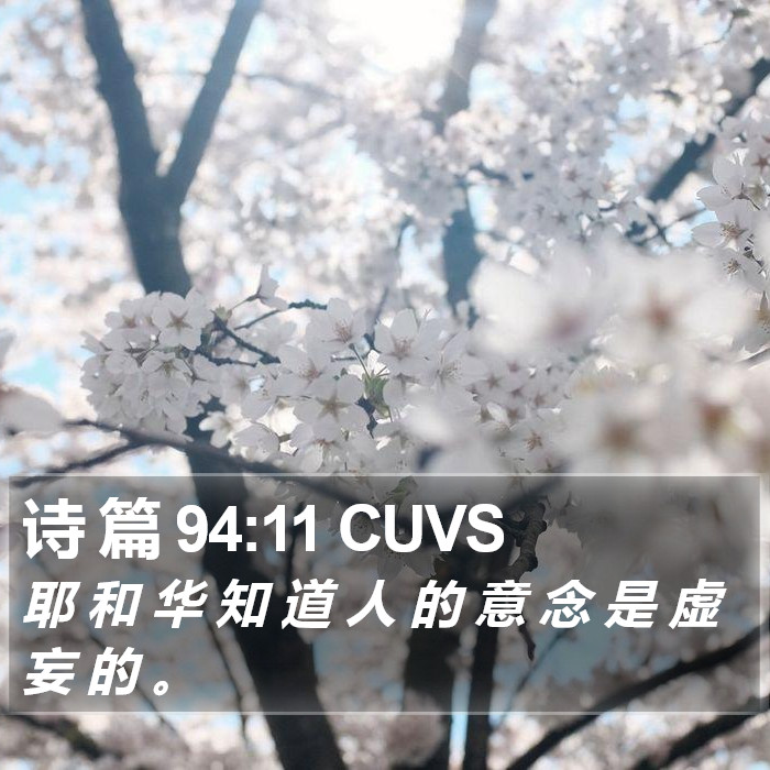 诗 篇 94:11 CUVS Bible Study
