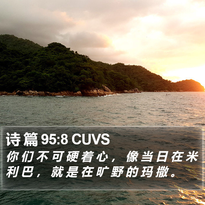 诗 篇 95:8 CUVS Bible Study