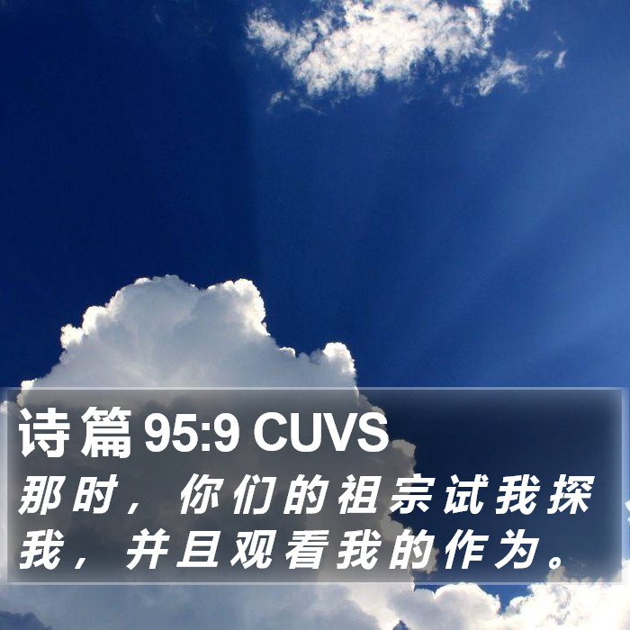 诗 篇 95:9 CUVS Bible Study