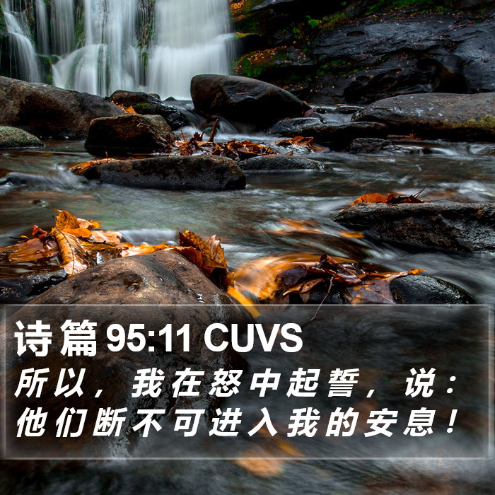 诗 篇 95:11 CUVS Bible Study