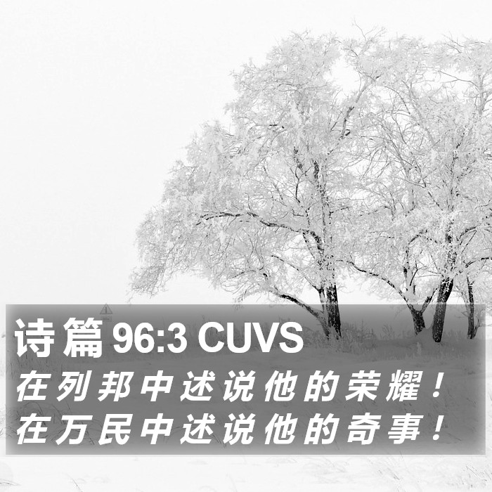 诗 篇 96:3 CUVS Bible Study
