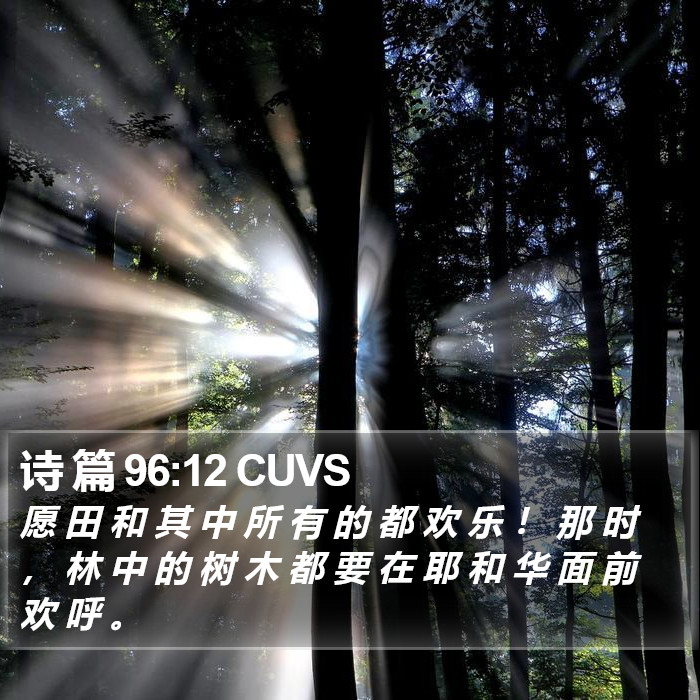 诗 篇 96:12 CUVS Bible Study