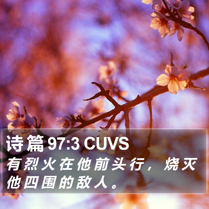 诗 篇 97:3 CUVS Bible Study