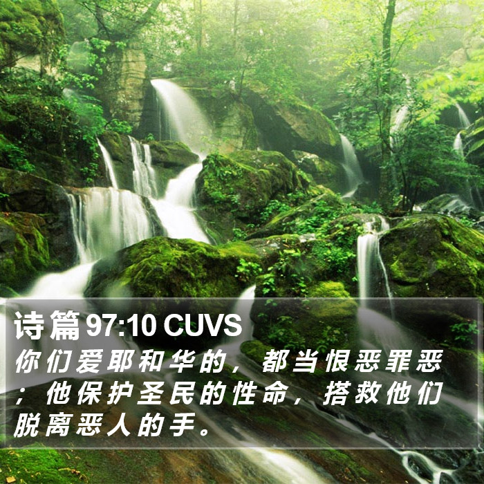 诗 篇 97:10 CUVS Bible Study