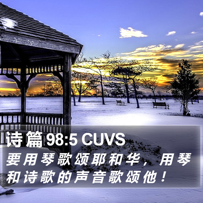 诗 篇 98:5 CUVS Bible Study