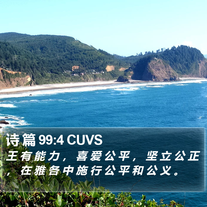诗 篇 99:4 CUVS Bible Study