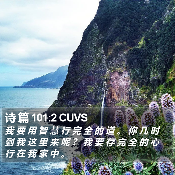诗 篇 101:2 CUVS Bible Study