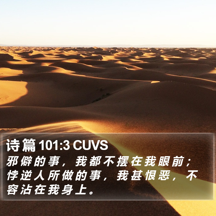 诗 篇 101:3 CUVS Bible Study