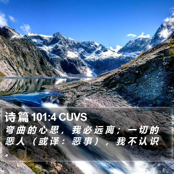 诗 篇 101:4 CUVS Bible Study