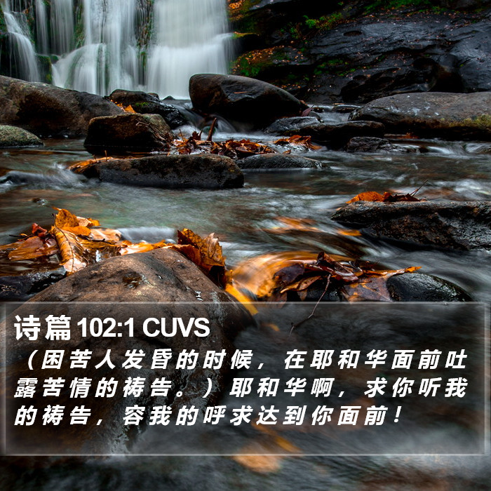 诗 篇 102:1 CUVS Bible Study