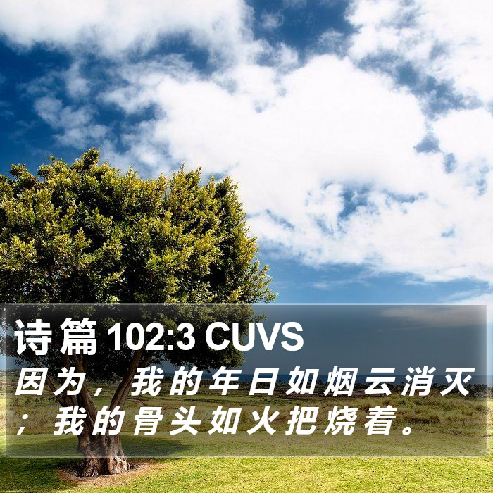 诗 篇 102:3 CUVS Bible Study