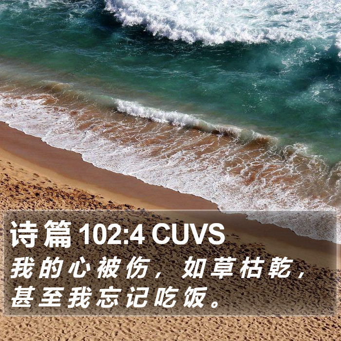 诗 篇 102:4 CUVS Bible Study