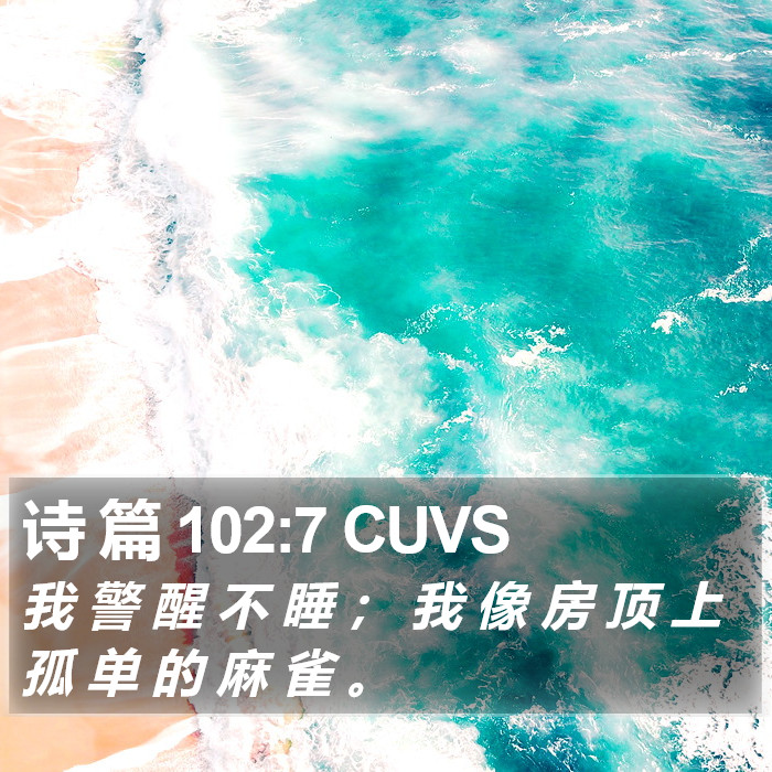 诗 篇 102:7 CUVS Bible Study