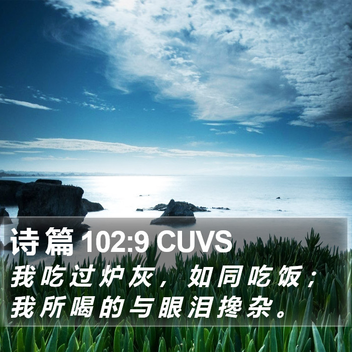 诗 篇 102:9 CUVS Bible Study
