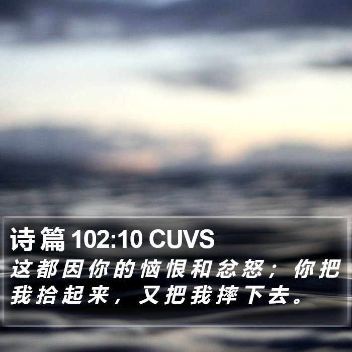 诗 篇 102:10 CUVS Bible Study