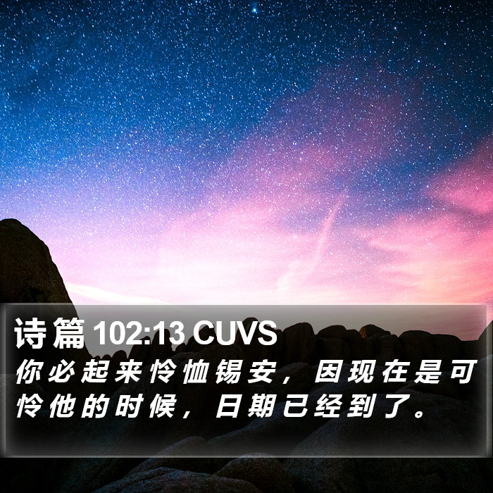 诗 篇 102:13 CUVS Bible Study
