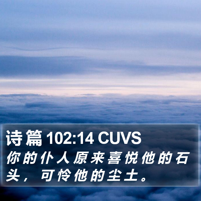 诗 篇 102:14 CUVS Bible Study