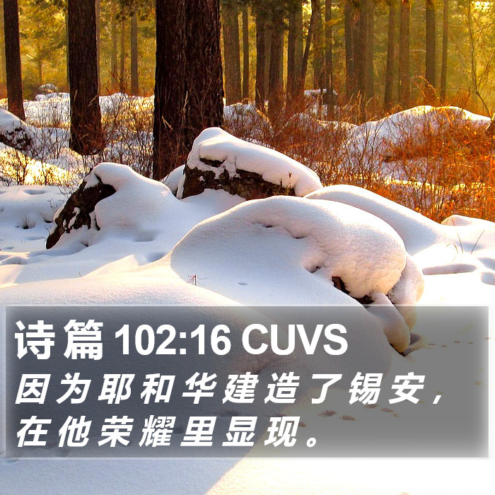 诗 篇 102:16 CUVS Bible Study