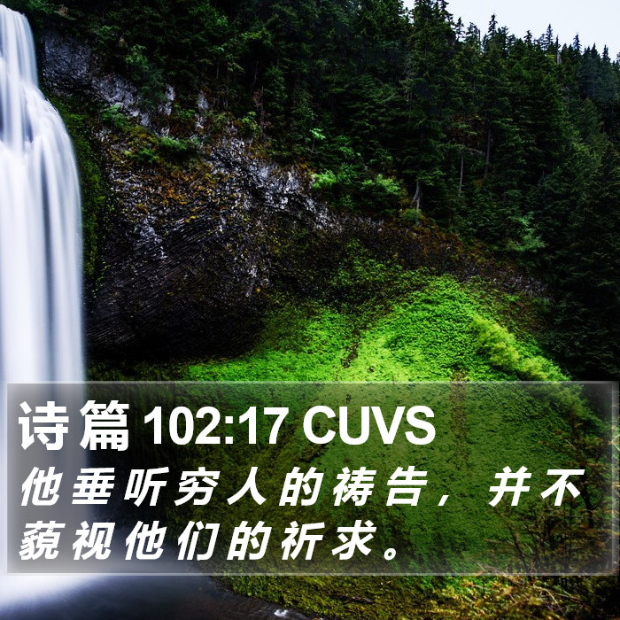 诗 篇 102:17 CUVS Bible Study