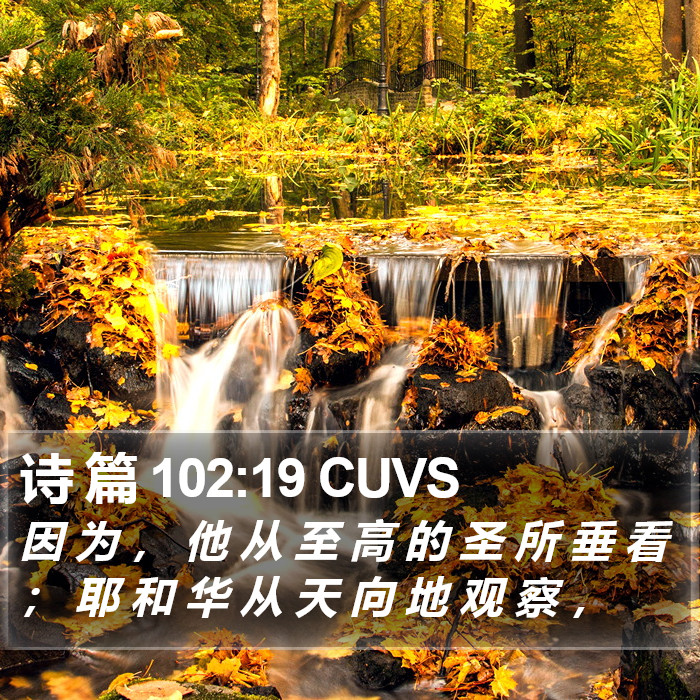 诗 篇 102:19 CUVS Bible Study