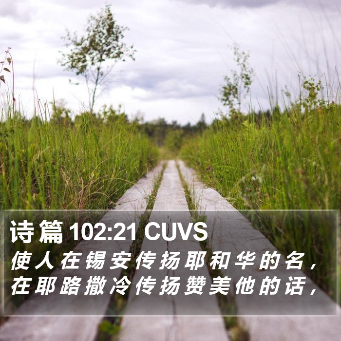 诗 篇 102:21 CUVS Bible Study
