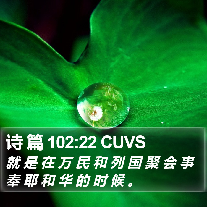 诗 篇 102:22 CUVS Bible Study