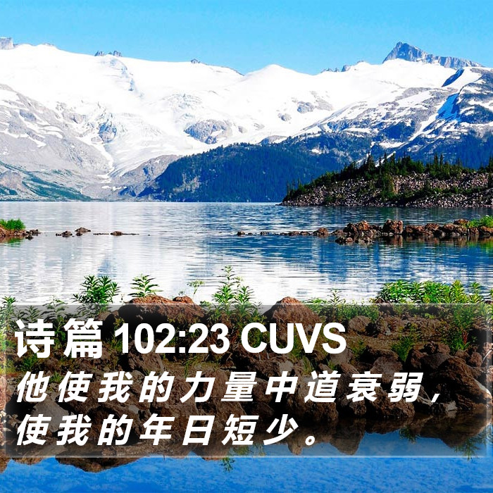 诗 篇 102:23 CUVS Bible Study