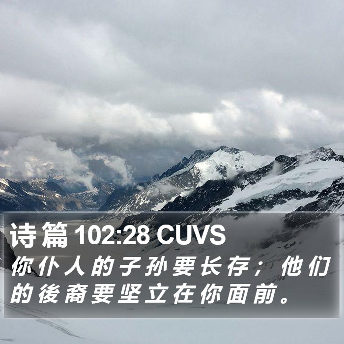 诗 篇 102:28 CUVS Bible Study