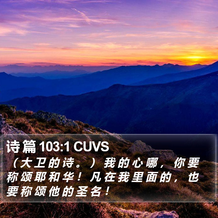 诗 篇 103:1 CUVS Bible Study