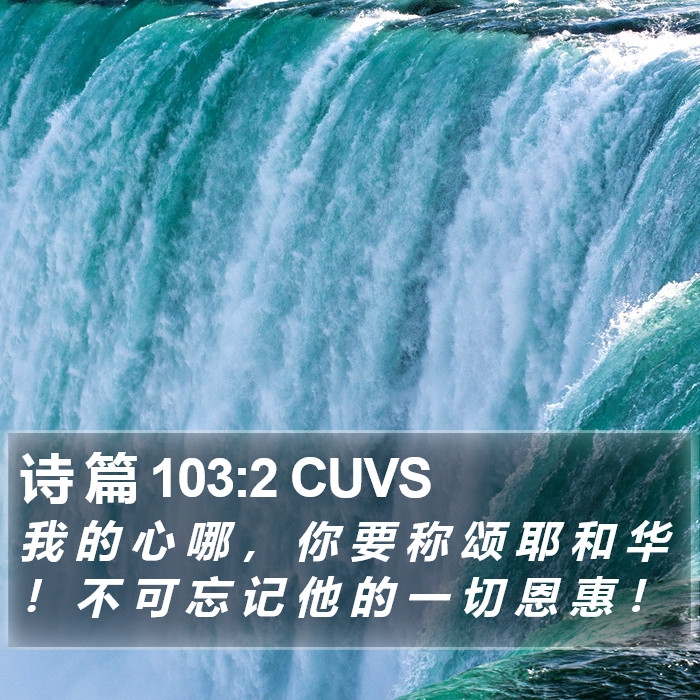 诗 篇 103:2 CUVS Bible Study