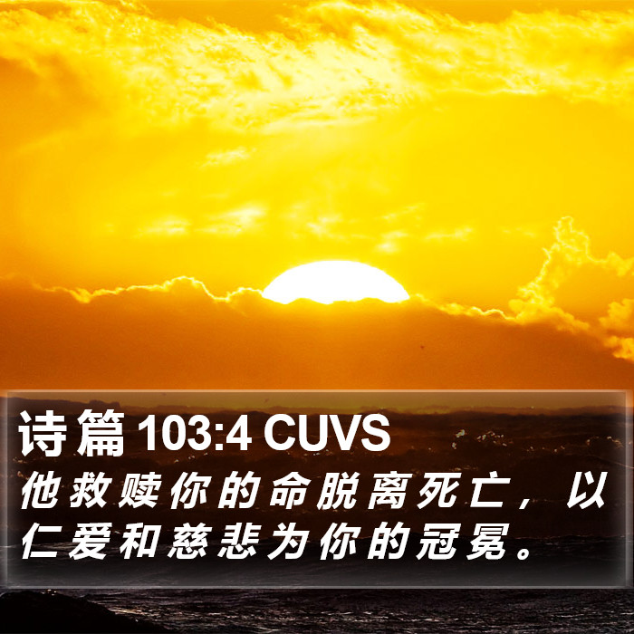 诗 篇 103:4 CUVS Bible Study