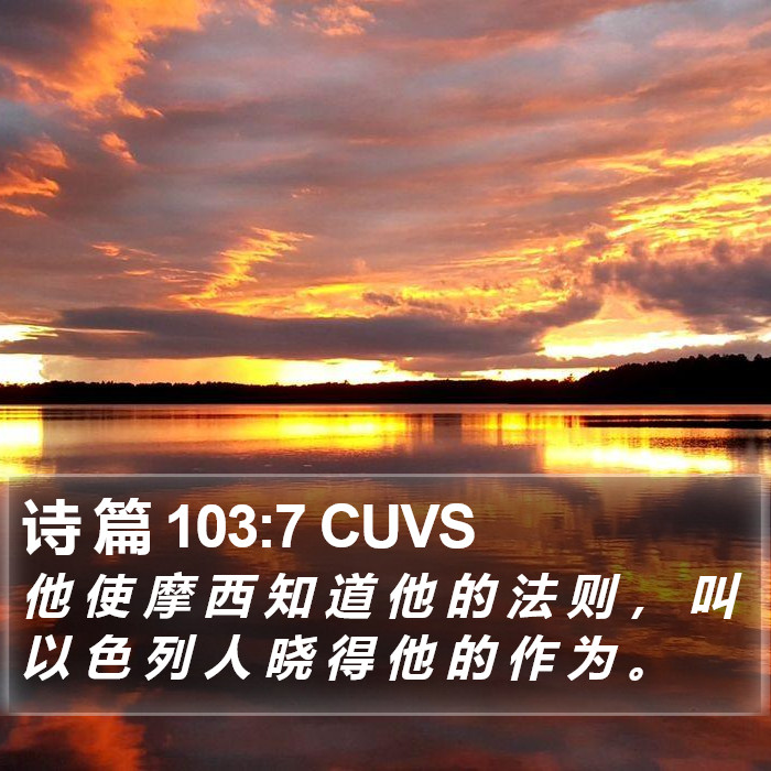 诗 篇 103:7 CUVS Bible Study