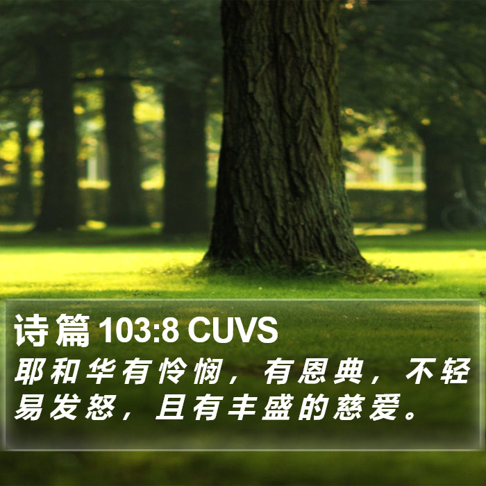 诗 篇 103:8 CUVS Bible Study