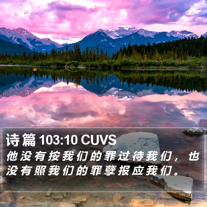 诗 篇 103:10 CUVS Bible Study