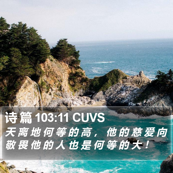 诗 篇 103:11 CUVS Bible Study