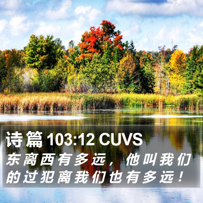 诗 篇 103:12 CUVS Bible Study