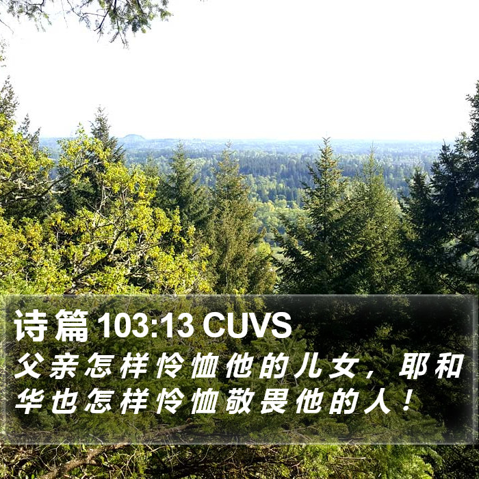 诗 篇 103:13 CUVS Bible Study