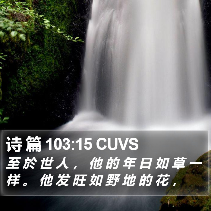 诗 篇 103:15 CUVS Bible Study