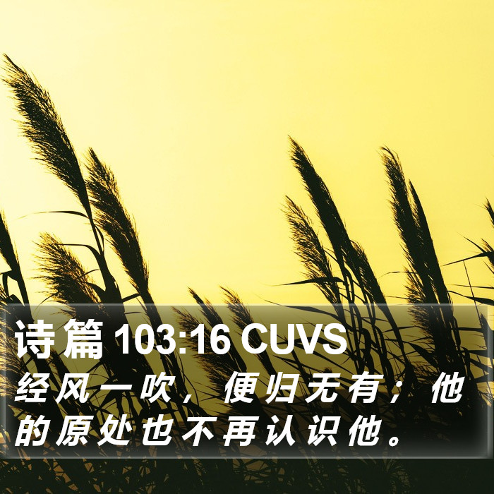 诗 篇 103:16 CUVS Bible Study