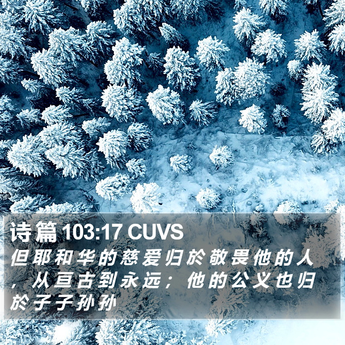 诗 篇 103:17 CUVS Bible Study