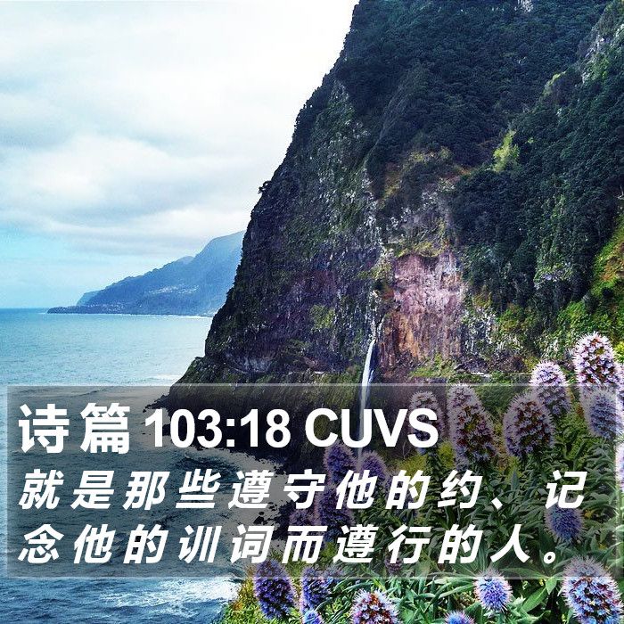 诗 篇 103:18 CUVS Bible Study