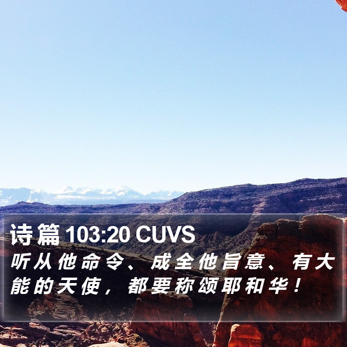 诗 篇 103:20 CUVS Bible Study