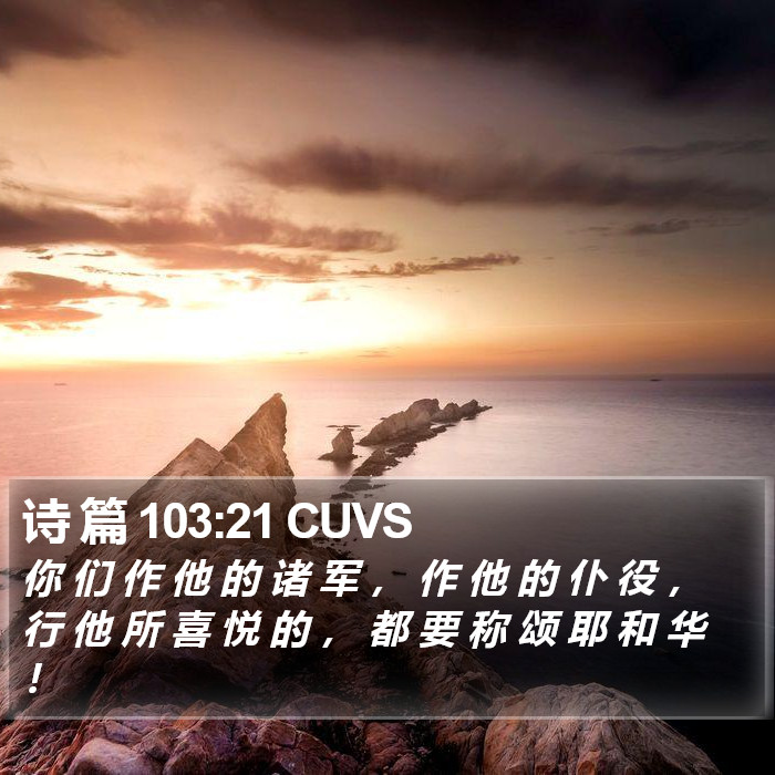 诗 篇 103:21 CUVS Bible Study