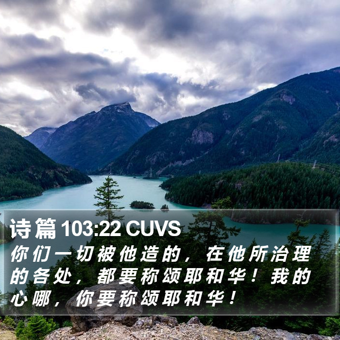 诗 篇 103:22 CUVS Bible Study