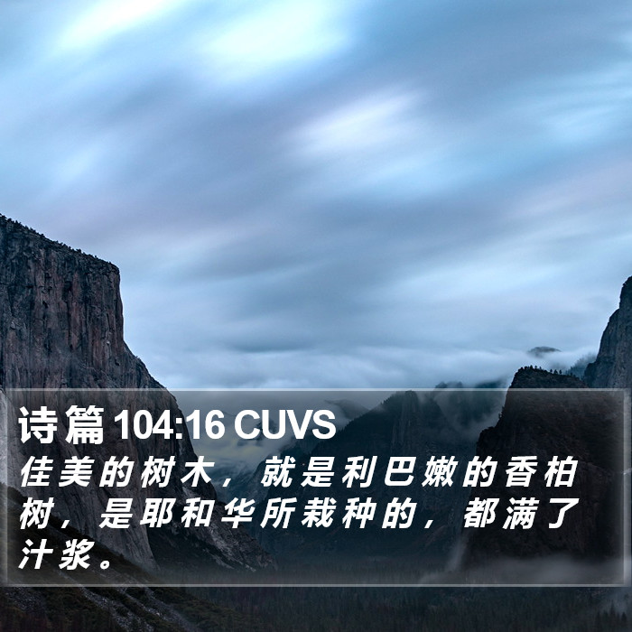 诗 篇 104:16 CUVS Bible Study