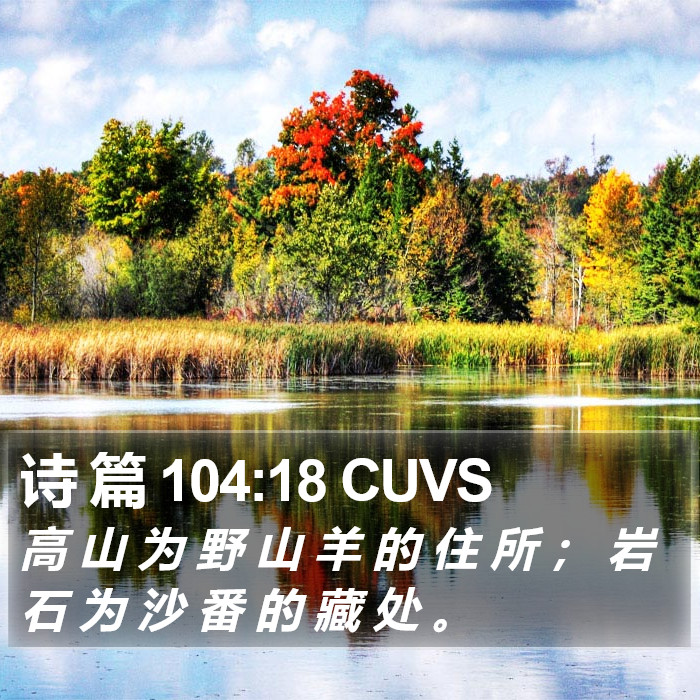 诗 篇 104:18 CUVS Bible Study